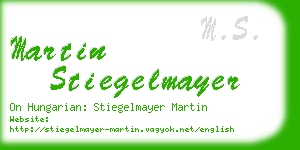 martin stiegelmayer business card